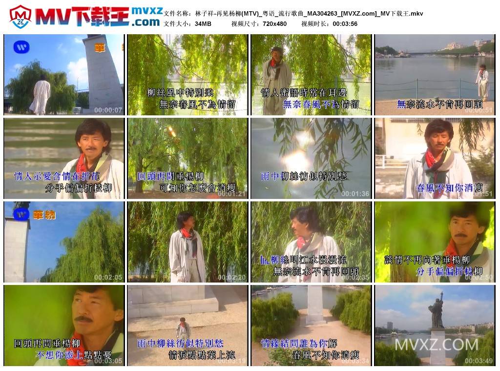 林子祥-再见杨柳(MTV)_粤语_流行歌曲_MA304263